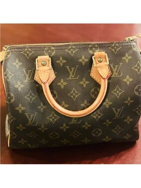 Louis Vuitton Brown Monogram Canvas Speedy 25 Handbag